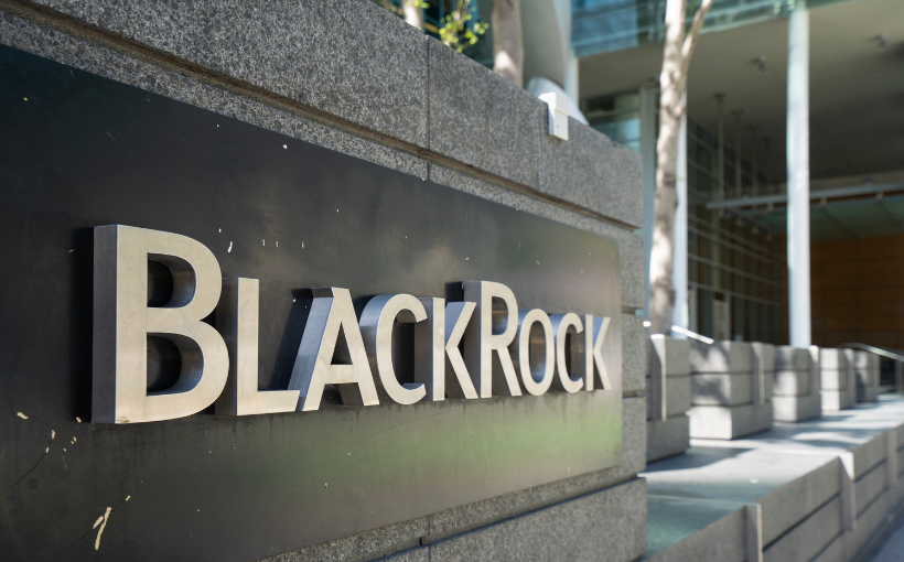 BlackRock увеличил вложения в BitMine на 165%